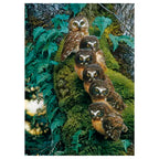 BUHOS - ROMPECABEZAS 1000 PZS