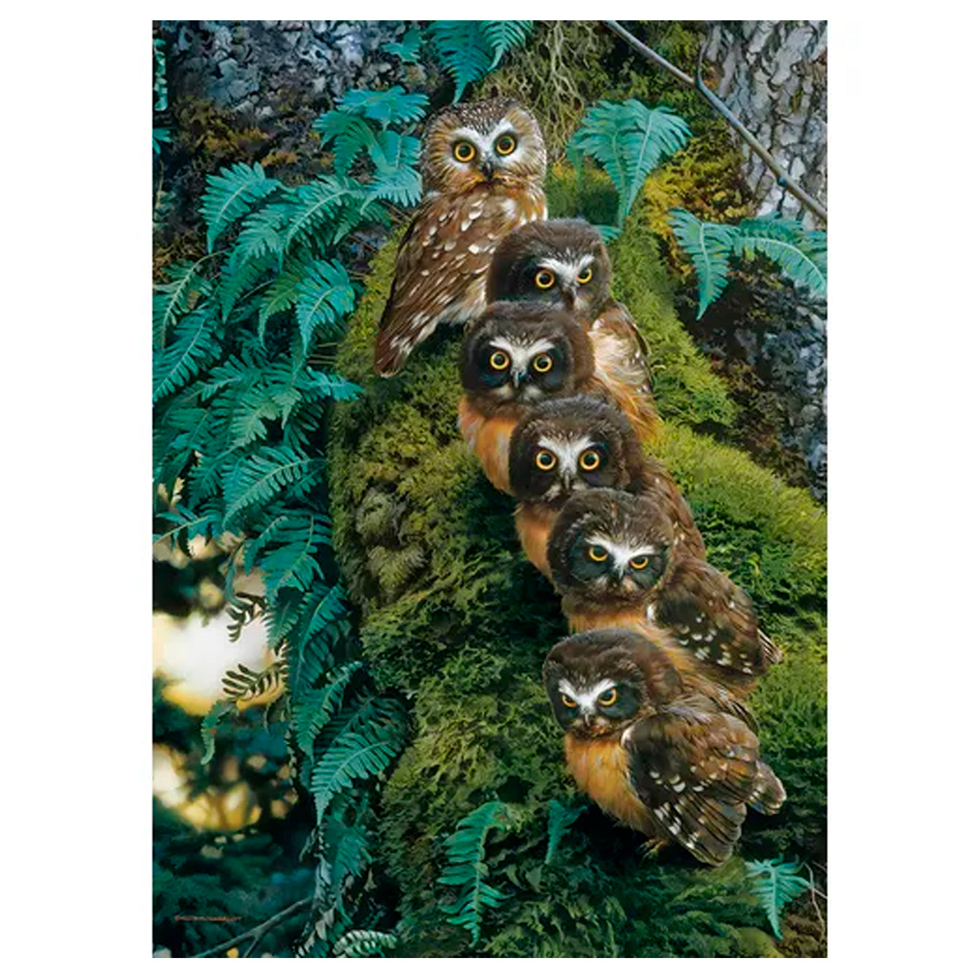 BUHOS - ROMPECABEZAS 1000 PZS