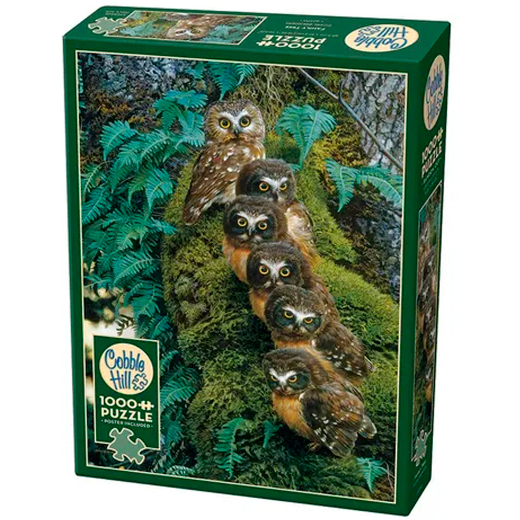 BUHOS - ROMPECABEZAS 1000 PZS